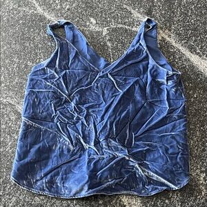 Blue Velvet Women's Top